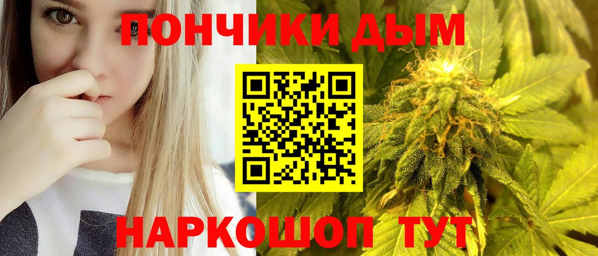 МАРИХУАНА ГИДРОПОН Пятигорск